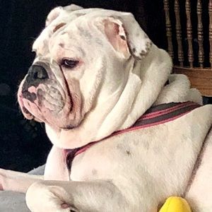 Meet your Posher, Sonya